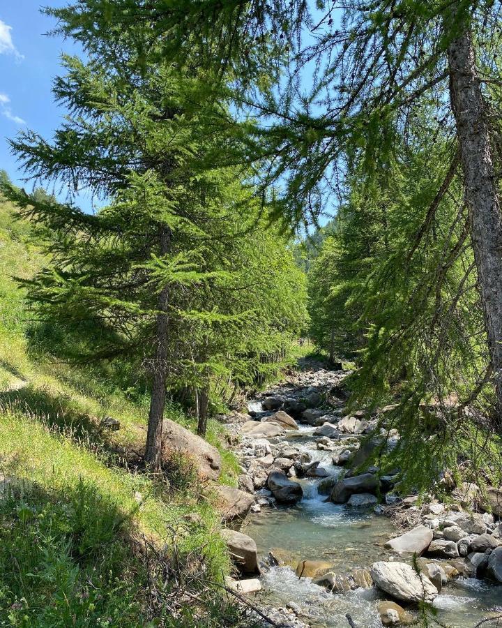 Studio 4 Pers A 100M Des Pistes- Vars Les Claux ภายนอก รูปภาพ